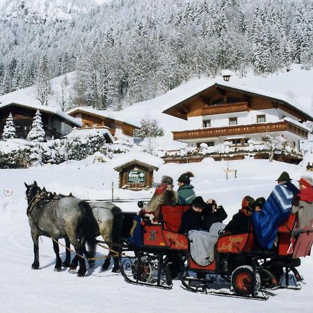 Ferienhaus Rosi Sankt Martin am Tennengebirge Exteriör bild